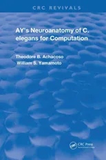 Ay's Neuroanatomy of C. Elegans for Computation