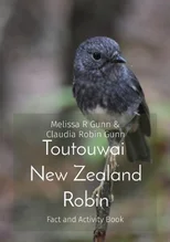 Toutouwai New Zealand Robin