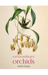 Extraordinary Orchids