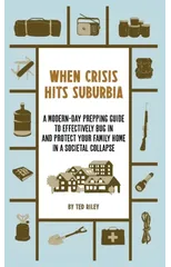 When Crisis Hits Suburbia