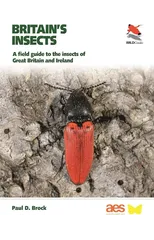 Britain's Insects