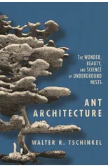 Ant Architecture