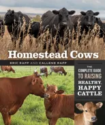 Homestead Cows