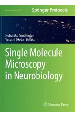 Single Molecule Microscopy in Neurobiology