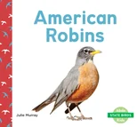 American Robins