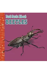 Fast Facts About Beetles