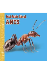 Fast Facts About Ants
