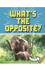 What's the Opposite?