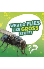 Why Do Flies Like Gross Stuff?