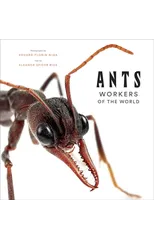 Ants