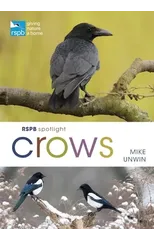 RSPB Spotlight Crows