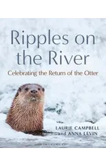 Ripples on the River