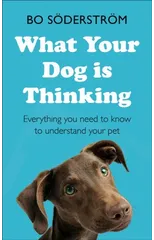 What Your Dog Is Thinking