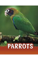 Parrots