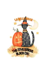 The Mysterious Black Cat