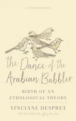 The Dance of the Arabian Babbler