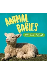 Animal Babies