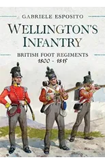 Wellington's Infantry