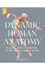 Dynamic Human Anatomy