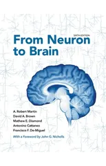 From Neuron to Brain