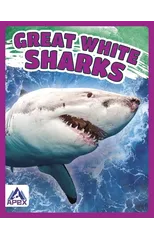 Great White Sharks