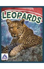 Leopards