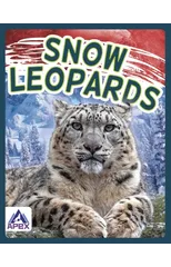 Snow Leopards