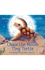 Chase the Moon, Tiny Turtle