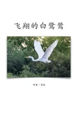 飞翔的白鹭鸶（简体中文版）