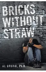 Bricks Without Straw
