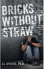 Bricks Without Straw