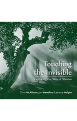 Touching the Invisible