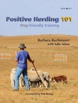 Positive Herding 101