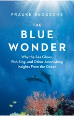 The Blue Wonder