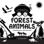 I See Forest Animals