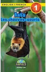 Bats / Les chauves-souris