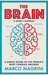 The Brain