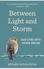 Between Light and Storm