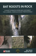 Bat Roosts in Rock