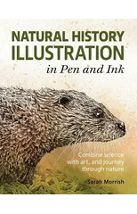 Natural History Illustration in Pen and Ink