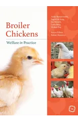 Broiler Chickens Welfare in Practice