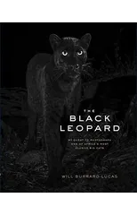 The Black Leopard