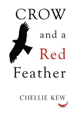 Crow and a Red Feather