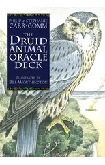 The Druid Animal Deck
