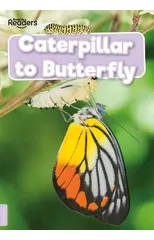 Caterpillar to Butterfly