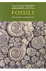 Discover Dorset Fossils