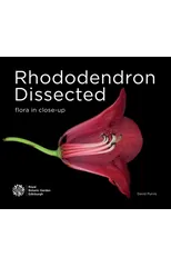 Rhododendron Dissected