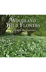 Woodland Wild Flowers