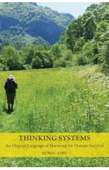 Thinking Systems
