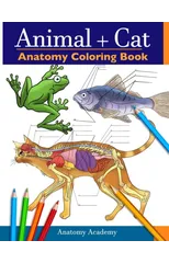 Animal & Cat Anatomy Coloring Book